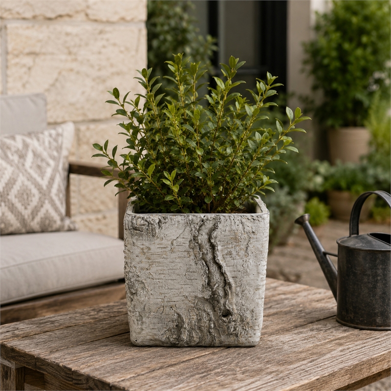 Outdoor Decorative Planter- Faux Bois Textured Terracotta- 7 Inch Gray