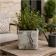 Outdoor Decorative Planter- Faux Bois Textured Terracotta- 7 Inch Gray
