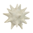Spiked Tabletop Decor - Textured Coastal Accent - White Resin-8 Inch