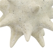 Spiked Tabletop Decor - Textured Coastal Accent - White Resin-8 Inch