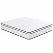Mysa King Size Euro Top Mattress- Pocket Coil Springs- 12 Inch White