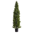 Cedar Pine Topiary Tree- Set of 2- Black Pot- Lifelike Poly Silk 60 Inch