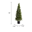 Arya Cedar Topiary Tree- Set of 2- Black Pot- Lifelike Poly Silk 48 Inch