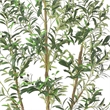 Artificial Olive Tree w Rubber Silk Leaves- Lifelike Poly Silk 84 Inch