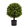 Yana Boxwood Topiary Tree with Pot- Set of 2- Green Poly Silk 22 Inch
