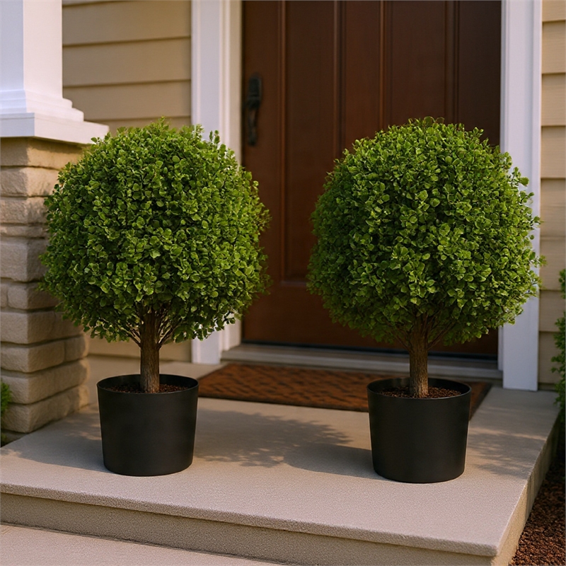 Yana Boxwood Topiary Tree with Pot- Set of 2- Green Poly Silk 22 Inch