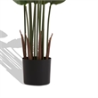 James Artificial Bird of Paradise Palm Tree- Set of 2- Green 63 Inch