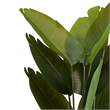 James Artificial Bird of Paradise Palm Tree- Set of 2- Green 63 Inch
