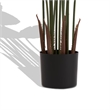 James Artificial Bird of Paradise Palm Tree- Set of 2- Green 63 Inch