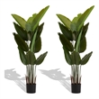 James Artificial Bird of Paradise Palm Tree- Set of 2- Green 63 Inch