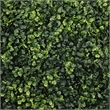 Sophie Faux Boxwood Topiary Balls- Set of 2- Green Poly Silk 19 Inch