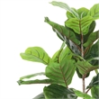 Moona Fiddle Leaf Fig Tree- 28 PEVA Leaves- Lifelike Poly Silk 43 Inch