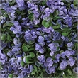 Dammy Eucalyptus 16 Inch Topiary Ball Plants- Set of 2- 22 Inch High