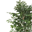 Karen Artificial Ficus Tree w Twisted Trunk- Green Poly Silk-Iron 59 Inch
