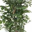 Karen Artificial Ficus Tree w Twisted Trunk- Green Poly Silk-Iron 59 Inch