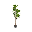 Axel Faux Fiddle Leaf Fig Tree- Iron Frame- Green Poly Silk 59 Inch