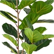 Axel Faux Fiddle Leaf Fig Tree- Iron Frame- Green Poly Silk 59 Inch