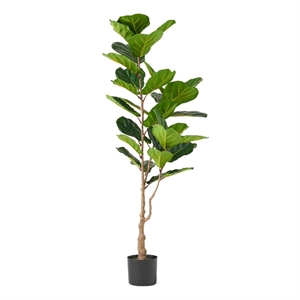 Axel Faux Fiddle Leaf Fig Tree- Iron Frame- Green Poly Silk 59 Inch