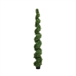 Javy Cypress Pine Tree- Spiral Topiary- White Planter- Green 83 Inch