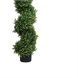 Javy Cypress Pine Tree- Spiral Topiary- White Planter- Green 83 Inch
