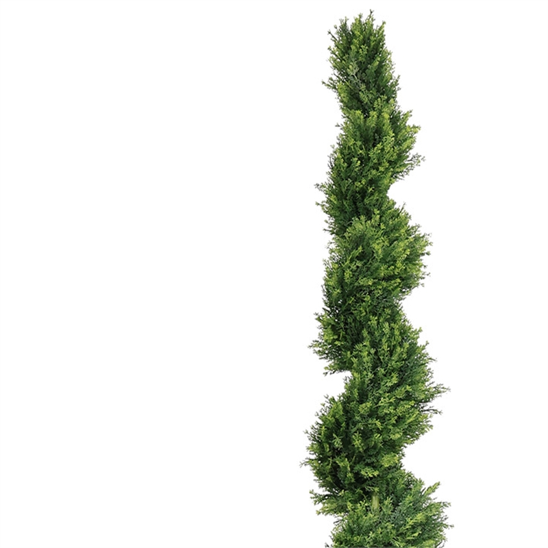 Javy Cypress Pine Tree- Spiral Topiary- White Planter- Green 83 Inch