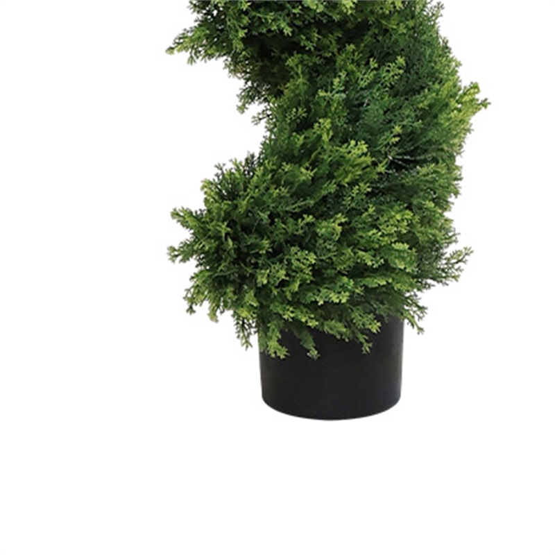 Javy Cypress Pine Tree- Spiral Topiary- White Planter- Green 83 Inch