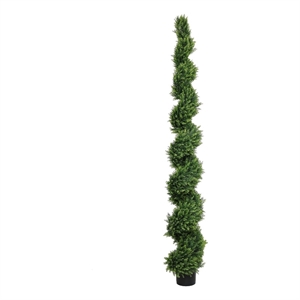 Javy Cypress Pine Tree- Spiral Topiary- White Planter- Green 83 Inch