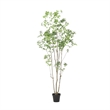 Terry Artificial Pieris Tree with White Planter- 95 Inch