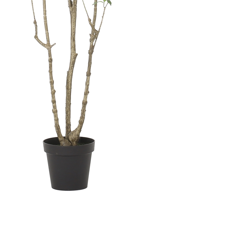 Terry Artificial Pieris Tree with White Planter- 95 Inch