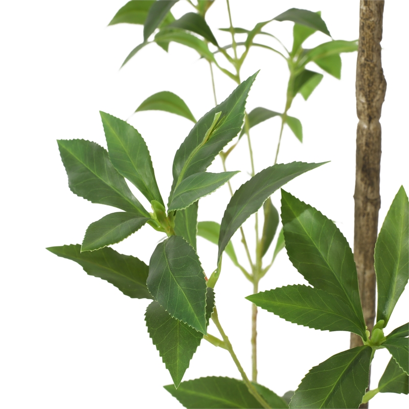 Terry Artificial Pieris Tree with White Planter- 95 Inch