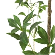Terry Artificial Pieris Tree with White Planter- 95 Inch
