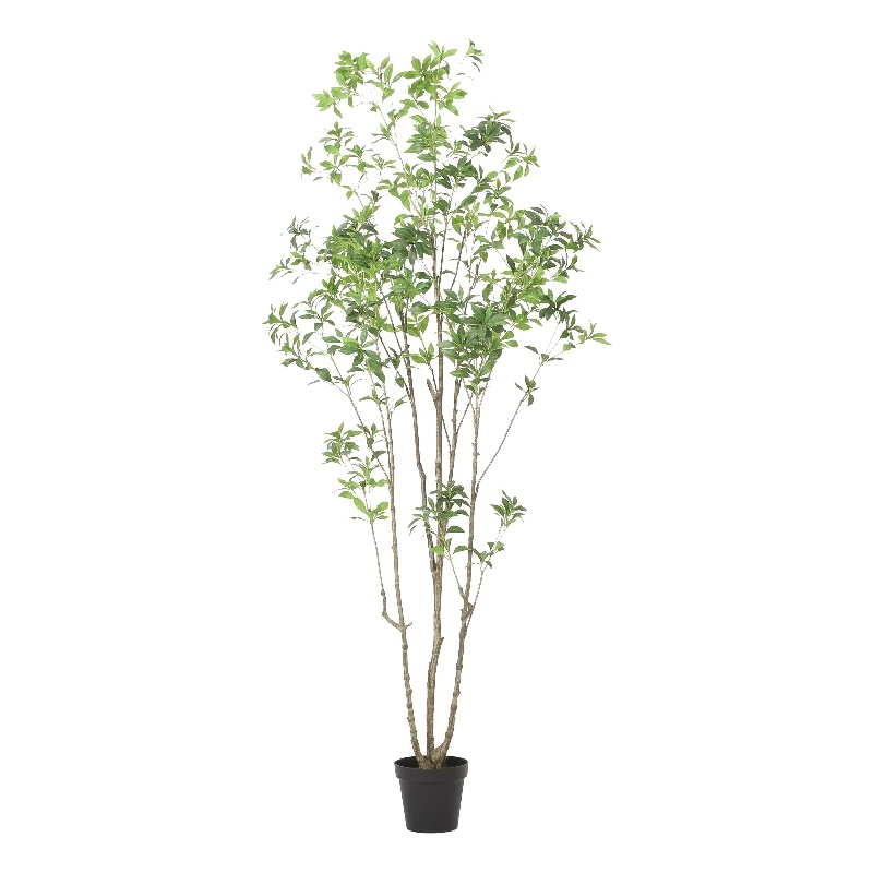 Terry Artificial Pieris Tree with White Planter- 95 Inch