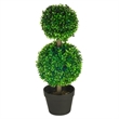 Lesli Double Ball Boxwood Topiary Trees- Set of 2- Green 24 Inch