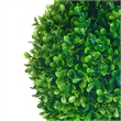 Lesli Double Ball Boxwood Topiary Trees- Set of 2- Green 24 Inch