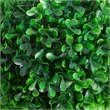 Lesli Double Ball Boxwood Topiary Trees- Set of 2- Green 24 Inch