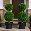 Lesli Double Ball Boxwood Topiary Trees- Set of 2- Green 24 Inch
