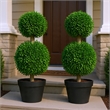 Lesli Double Ball Boxwood Topiary Trees- Set of 2- Green 24 Inch