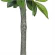 Tommy Lifelike Laurel Artificial Tree w Cement-Filled Pot- Green 35 Inch