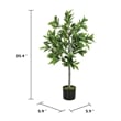 Tommy Lifelike Laurel Artificial Tree w Cement-Filled Pot- Green 35 Inch