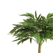Aisha 5 ft Artificial Willow Tree with Poly Silk Foliage- 59 Inch