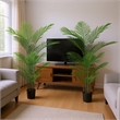 Norah Faux Areca Palm Tree- Set of 2- 15 Folds- Green Poly Silk 63 Inch