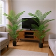 Norah Faux Areca Palm Tree- Set of 2- 15 Folds- Green Poly Silk 63 Inch