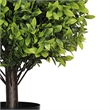 Manto Boxwood Topiary Ball Trees- Set of 2- Green Poly Silk 22 Inch