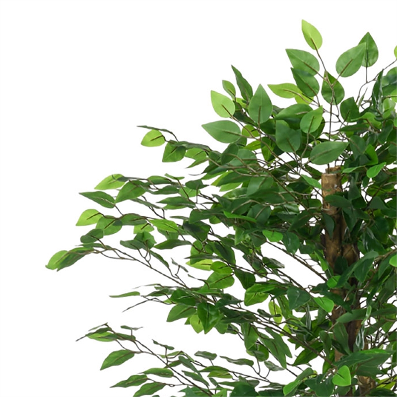 Carla Artificial Ficus Tree with PEVA Leaves- Black Pot- Lifelike 71 Inch