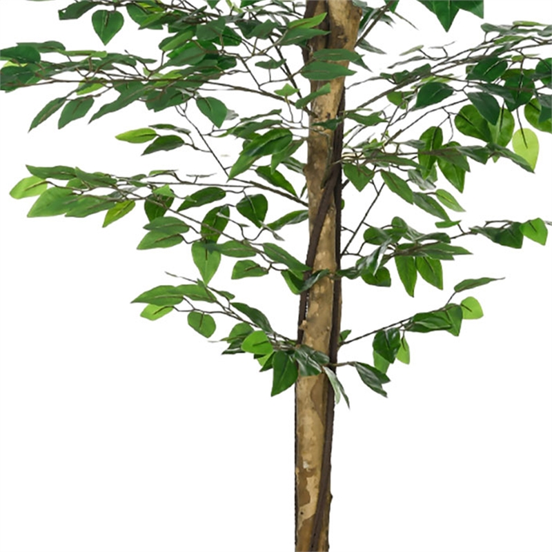 Carla Artificial Ficus Tree with PEVA Leaves- Black Pot- Lifelike 71 Inch