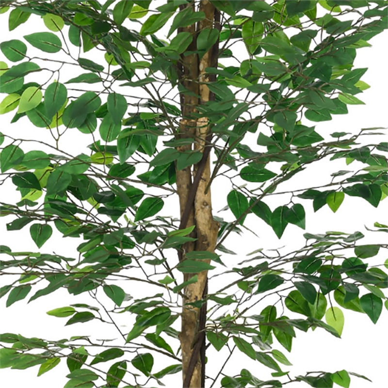 Carla Artificial Ficus Tree with PEVA Leaves- Black Pot- Lifelike 71 Inch