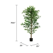 Carla Artificial Ficus Tree with PEVA Leaves- Black Pot- Lifelike 71 Inch