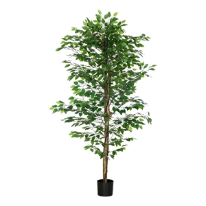 Carla Artificial Ficus Tree with PEVA Leaves- Black Pot- Lifelike 71 Inch