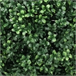 Jese Faux Boxwood Ball Topiary Tree- Set of 2- Faux Moss- Lifelike 21 Inch