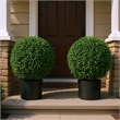 Jese Faux Boxwood Ball Topiary Tree- Set of 2- Faux Moss- Lifelike 21 Inch